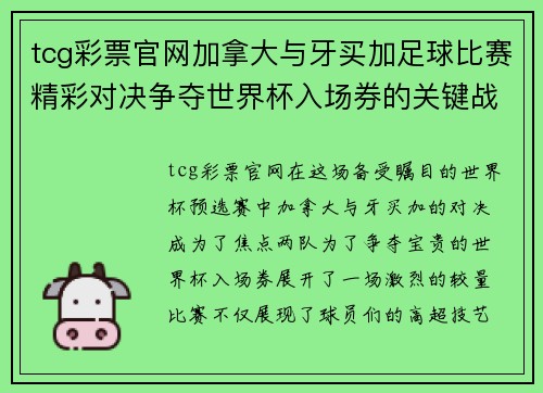 tcg彩票官网加拿大与牙买加足球比赛精彩对决争夺世界杯入场券的关键战役